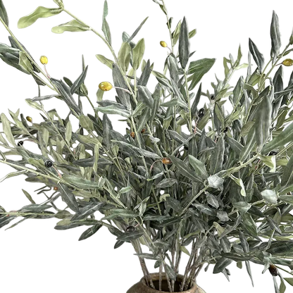 Olive Grove Stem