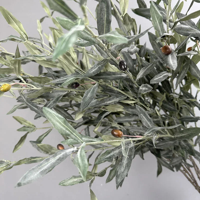 Olive Grove Stem