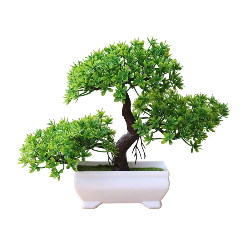 Zen Bonsai Tree