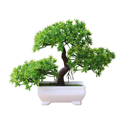 Zen Bonsai Tree