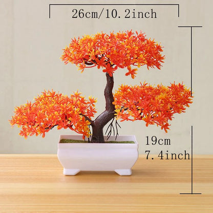 Zen Bonsai Tree