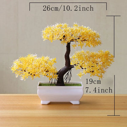 Zen Bonsai Tree