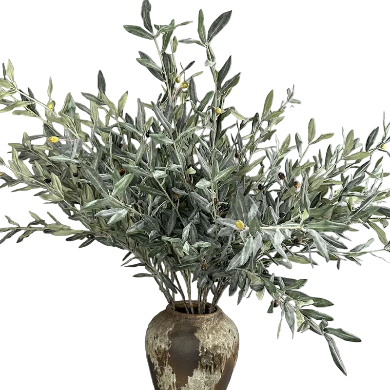 Olive Grove Stem