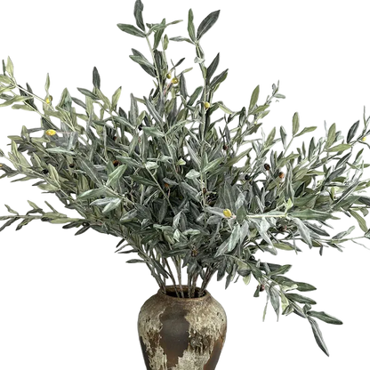 Olive Grove Stem