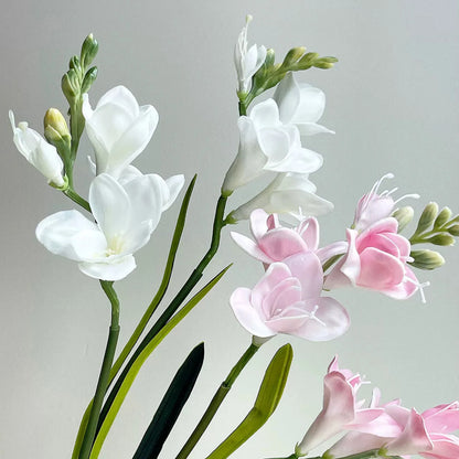 Freesia Bloom Stem