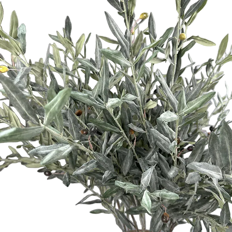 Olive Grove Stem