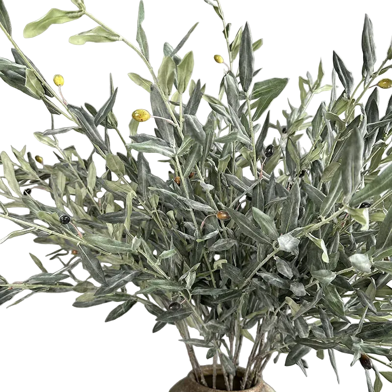 Olive Grove Stem
