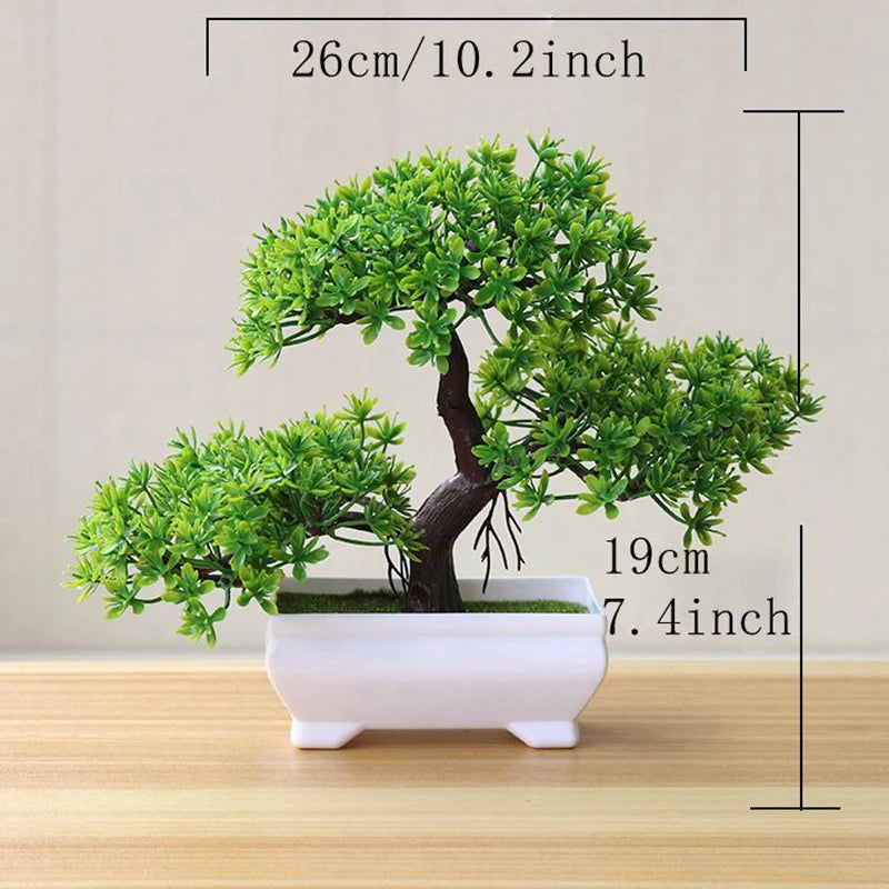 Zen Bonsai Tree