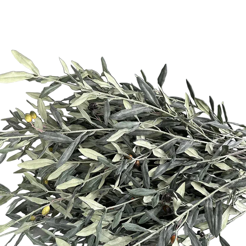 Olive Grove Stem