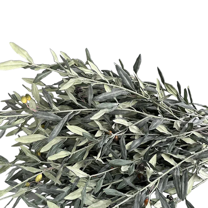 Olive Grove Stem
