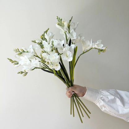 Freesia Bloom Stem