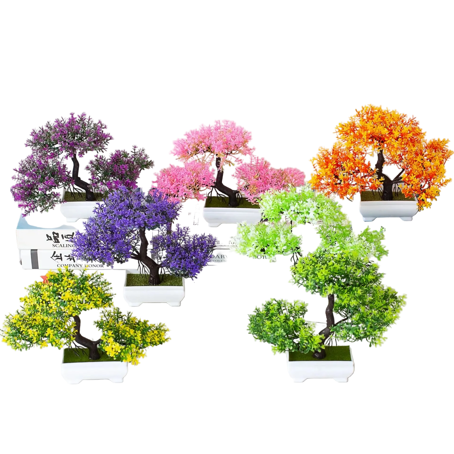 Zen Bonsai Tree
