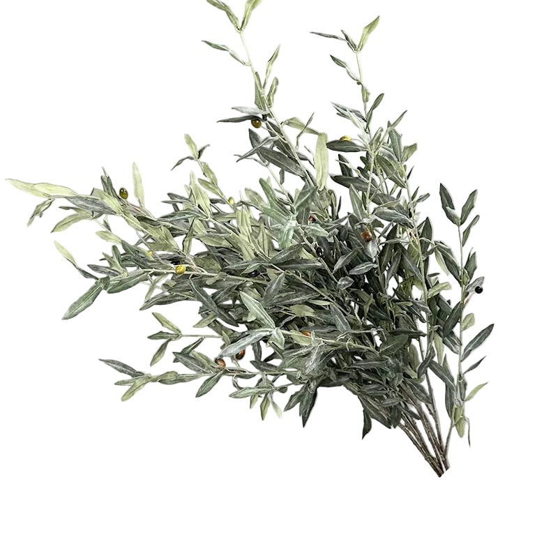 Olive Grove Stem