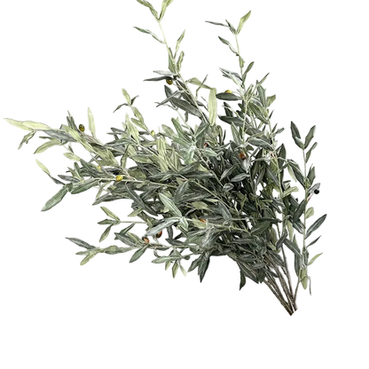 Olive Grove Stem