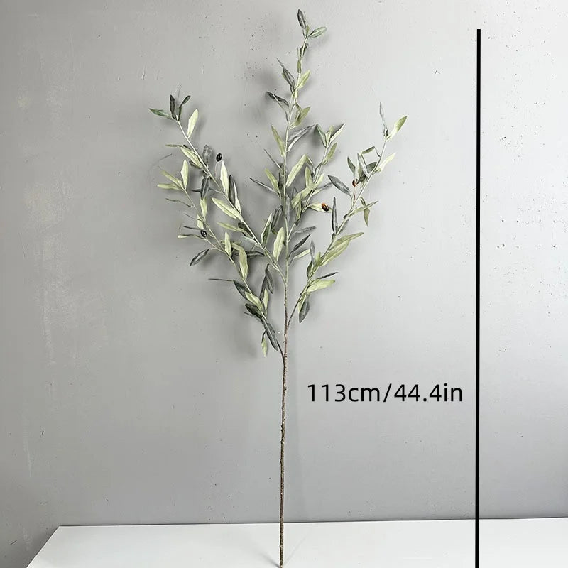 Olive Grove Stem