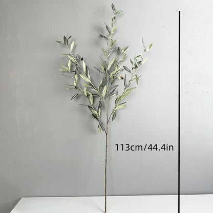 Olive Grove Stem