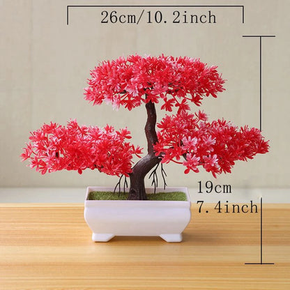 Zen Bonsai Tree
