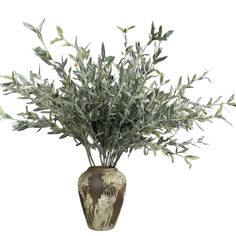 Olive Grove Stem