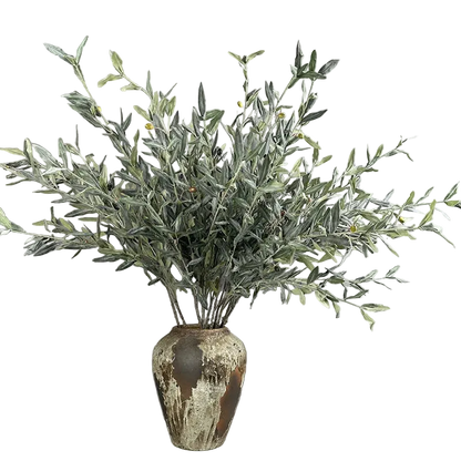 Olive Grove Stem