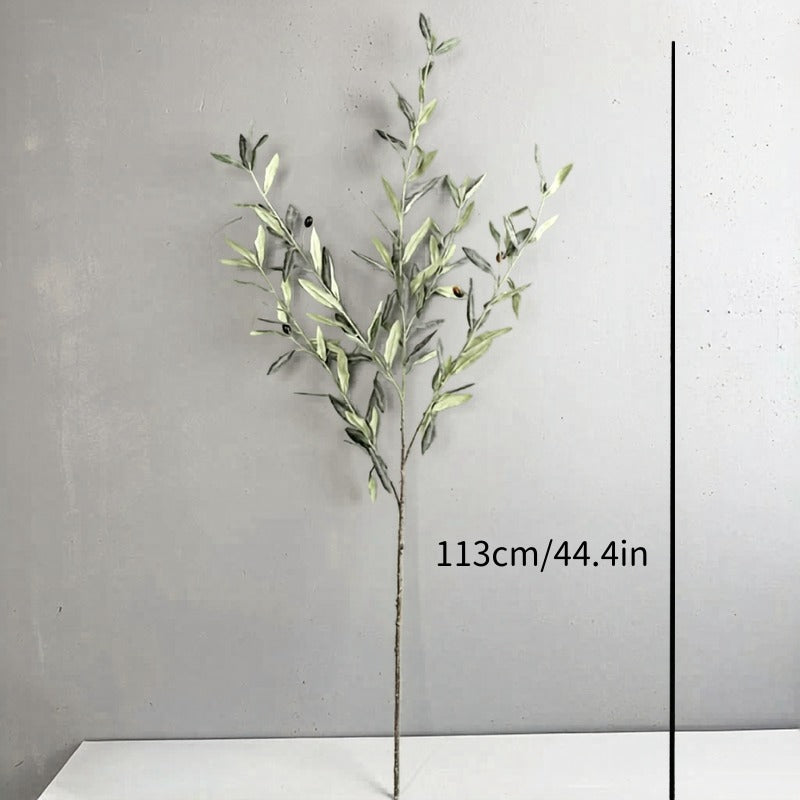 Olive Grove Stem