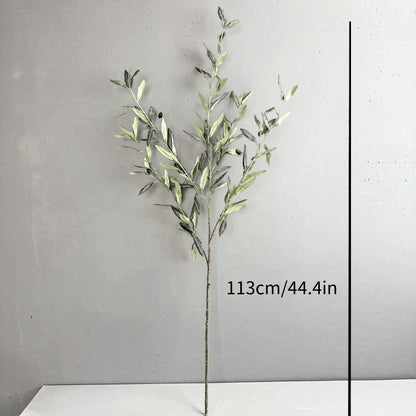 Olive Grove Stem