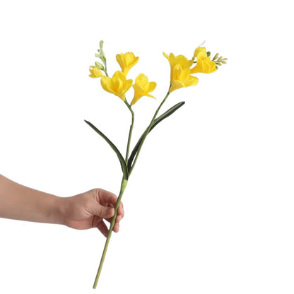 Freesia Bloom Stem