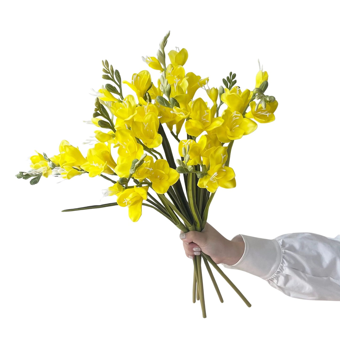 Freesia Bloom Stem
