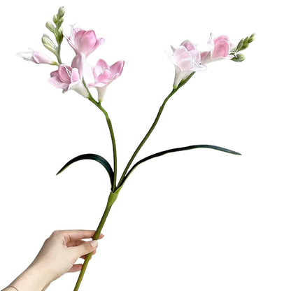 Freesia Bloom Stem