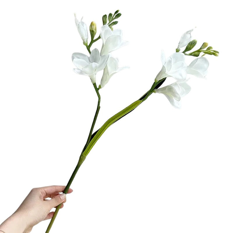 Freesia Bloom Stem